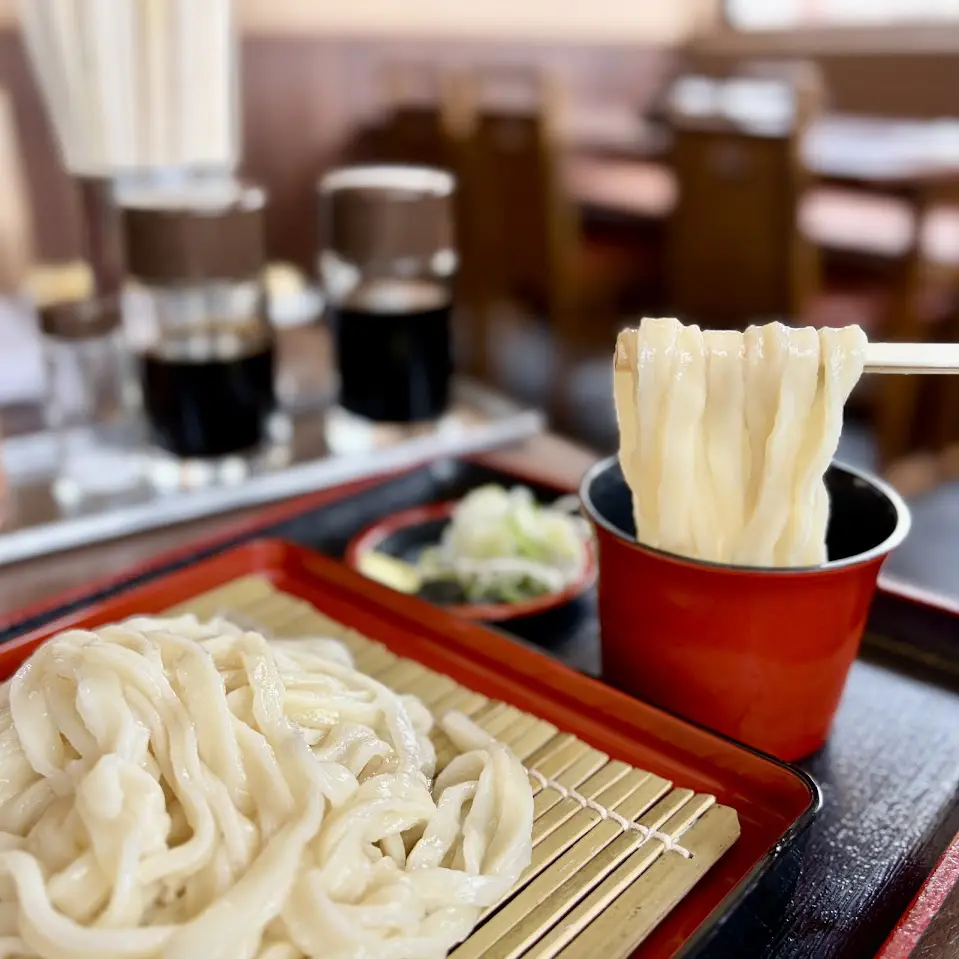 知るか貧乏バカうどん 確認用 ざるうどん480円！ もちっと食感が魅力の本格セルフうどん【氷見うどん