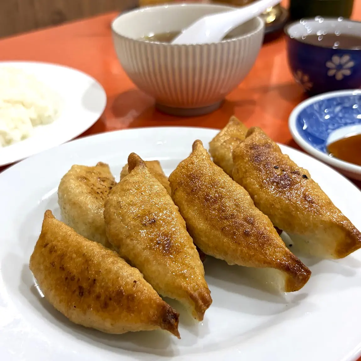 富山駅前で半世紀愛される名物餃子【餃子会館 桜町支店】祖父から孫につなぐ野菜たっぷり揚げ焼きの味