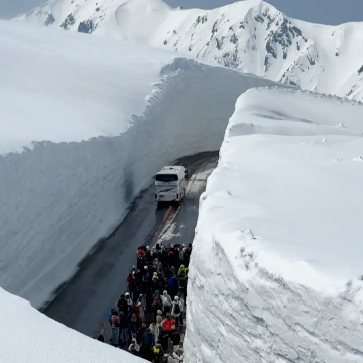 高さ16mの雪壁! 全線開通の立山黒部アルペンルートで味わいたい