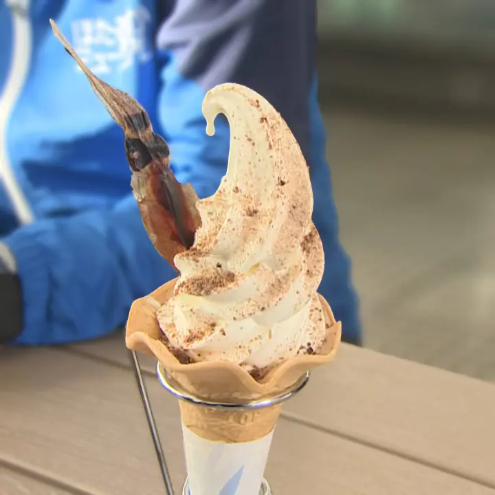 ほたるいかの天丼、しゃぶしゃぶ…えっ!? ほたるいかのソフトクリームも