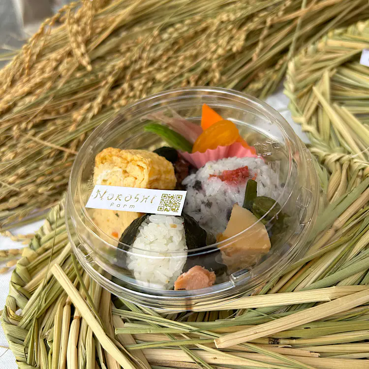 棚田の米農家が直営! 炊きたて・握りたての極ウマおにぎり【NOROSHI FARM おにぎーり】魚津で味わう里山の恵み 具まで手作り
