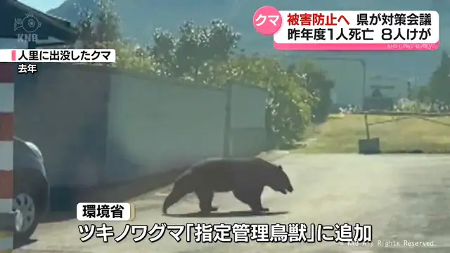 クマ被害防止へ　富山県が対策会議　昨年度１人死亡　８人けが