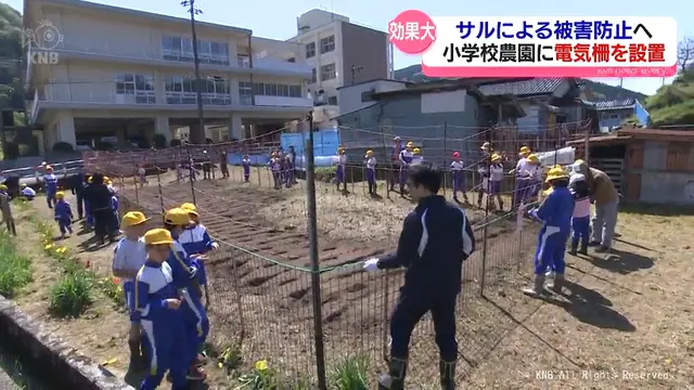 サルから学校農園守ろう　児童が電気柵設置　富山市の小学校