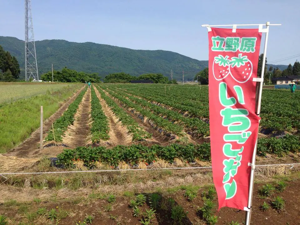 立野原観光農園
