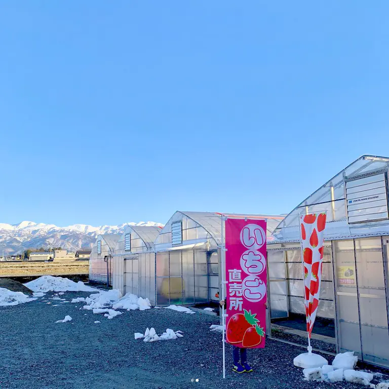 グリーンビジネス橋本