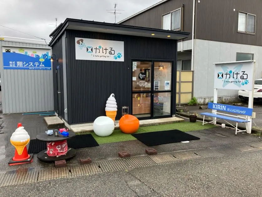 かける｜店舗｜nan-nan｜富山を楽しむオススメ情報