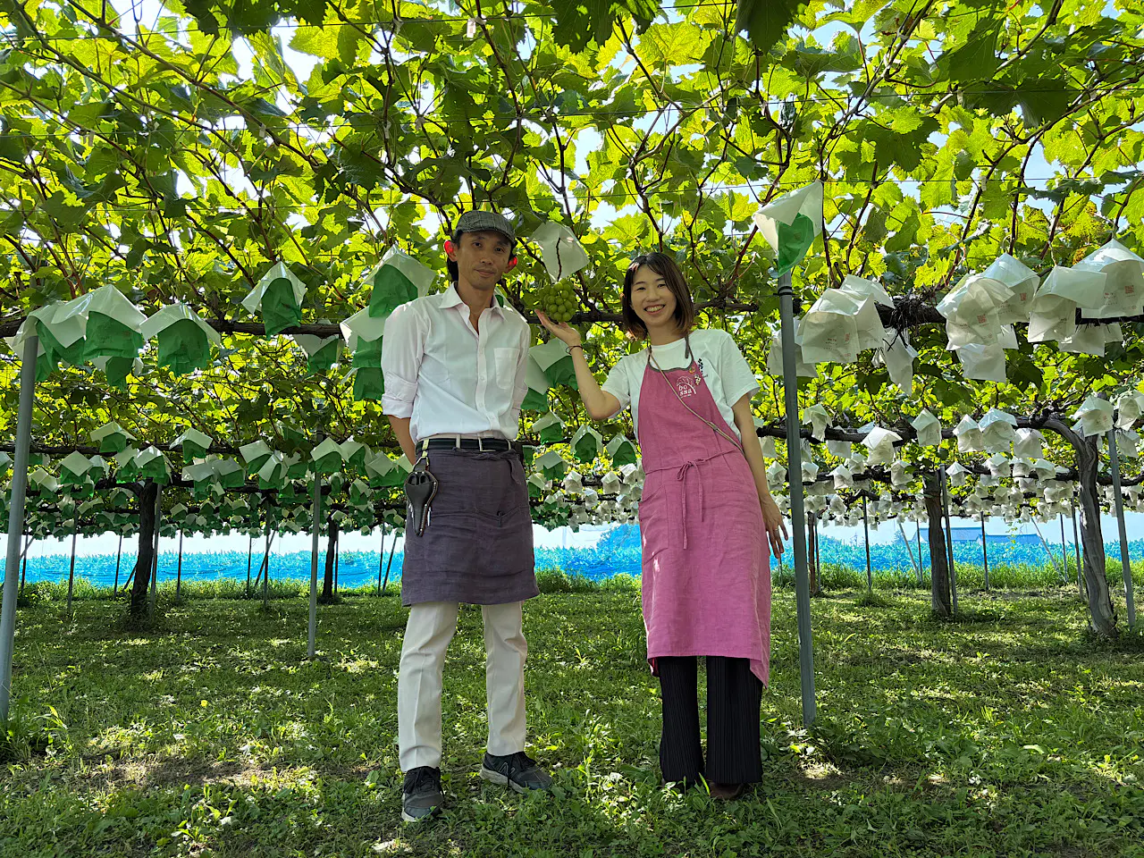 bossa farm