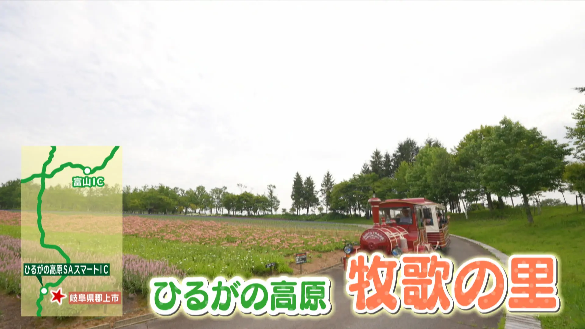 ひるがの高原　牧歌の里