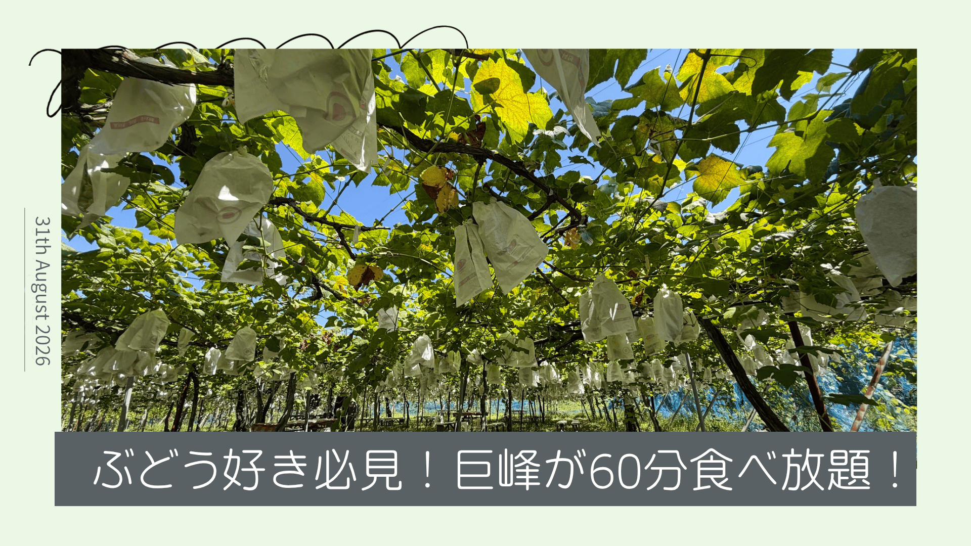 nannan0831